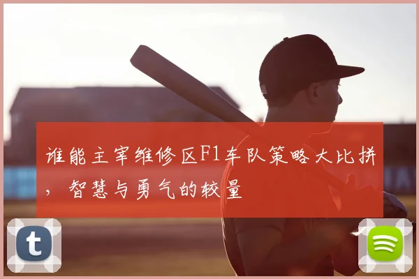 谁能主宰维修区F1车队策略大比拼，智慧与勇气的较量