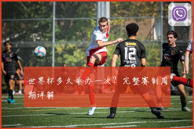 世界杯多久举办一次？完整赛制周期详解